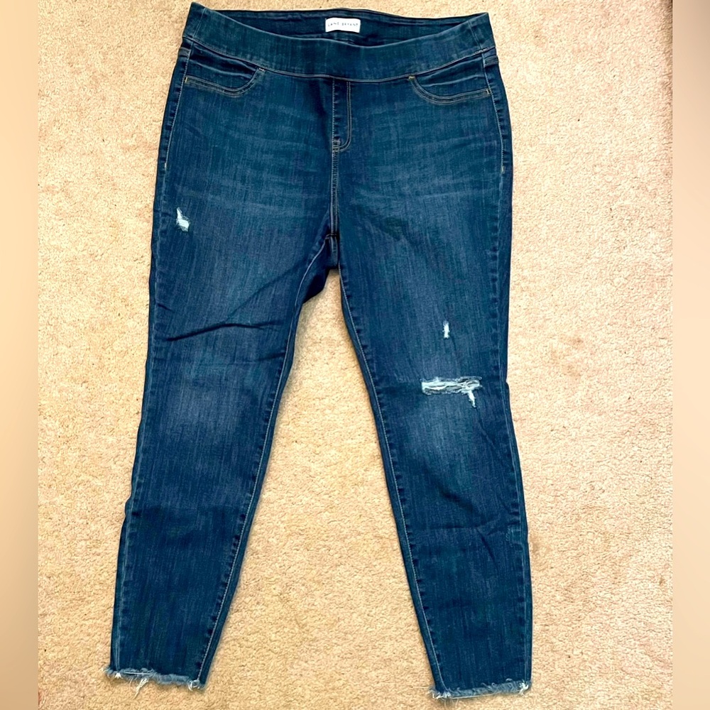 Lane Bryant Jeggings